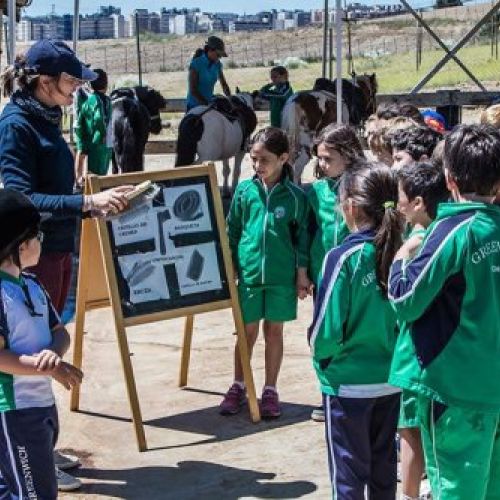 alumnos hipica la moraleja