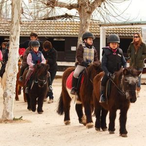 conoce pony club