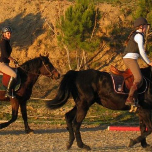 clases equitacion particulares madrid