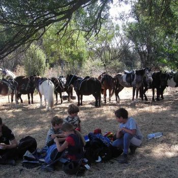 imagenes actividades de hipica la moraleja