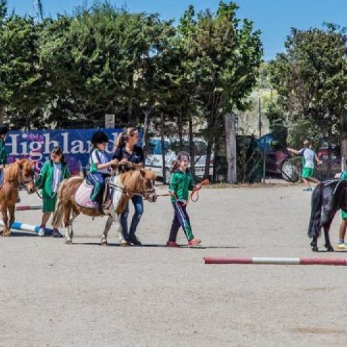 conoce pony club