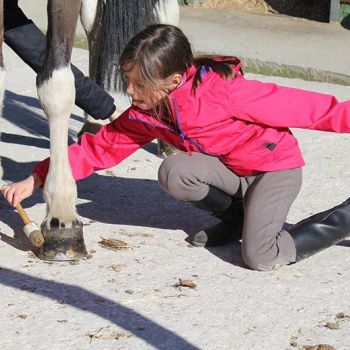 la moraleja hipica actividades