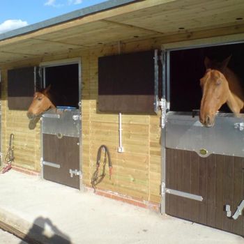 imagen actividades de hipica la moraleja