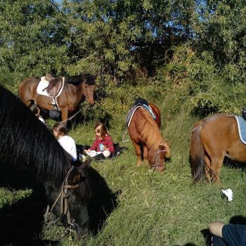 actividades hipica la moraleja imagenes