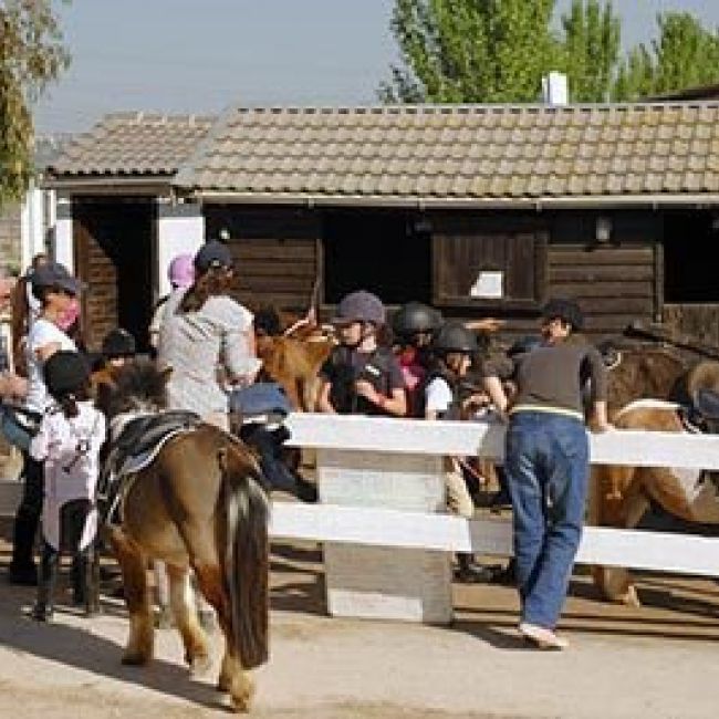 campeonato ponis madrid