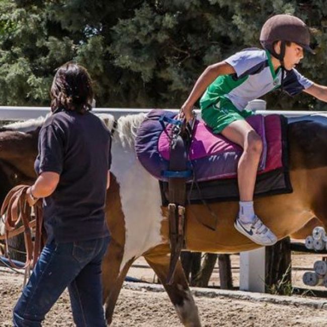 escuela de equitación en Madrid