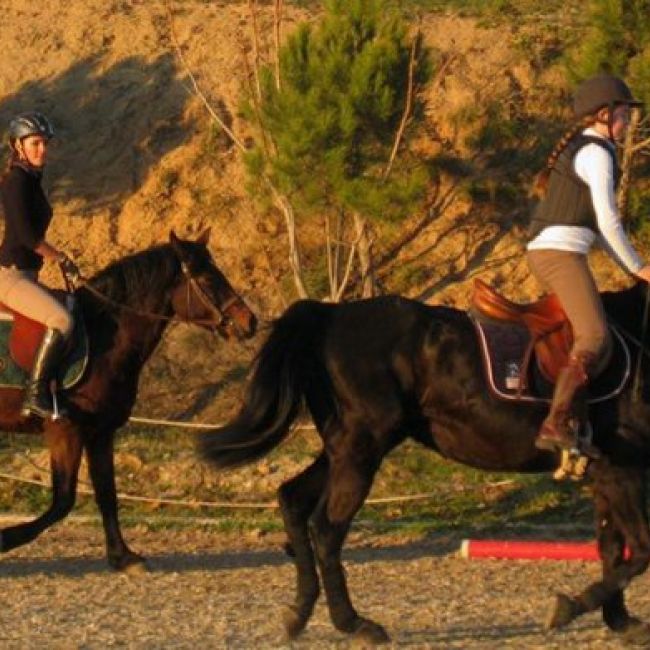 clases equitacion particulares madrid