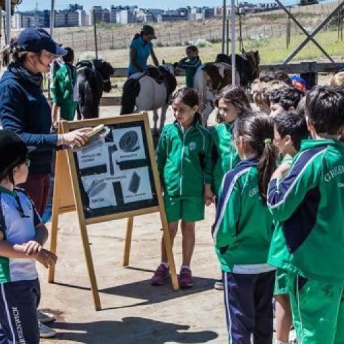 alumnos hipica la moraleja