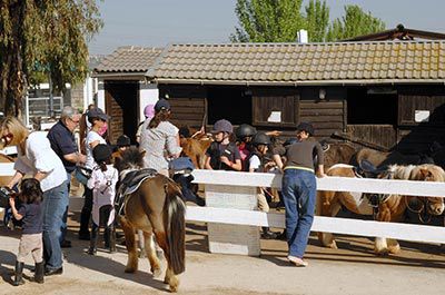 campeonato ponis madrid