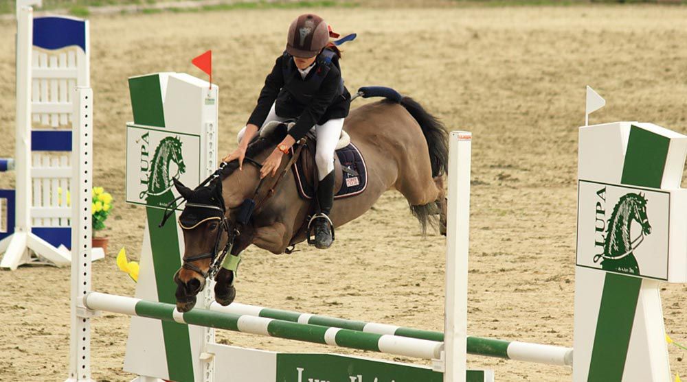 equitacion madrid avanzados
